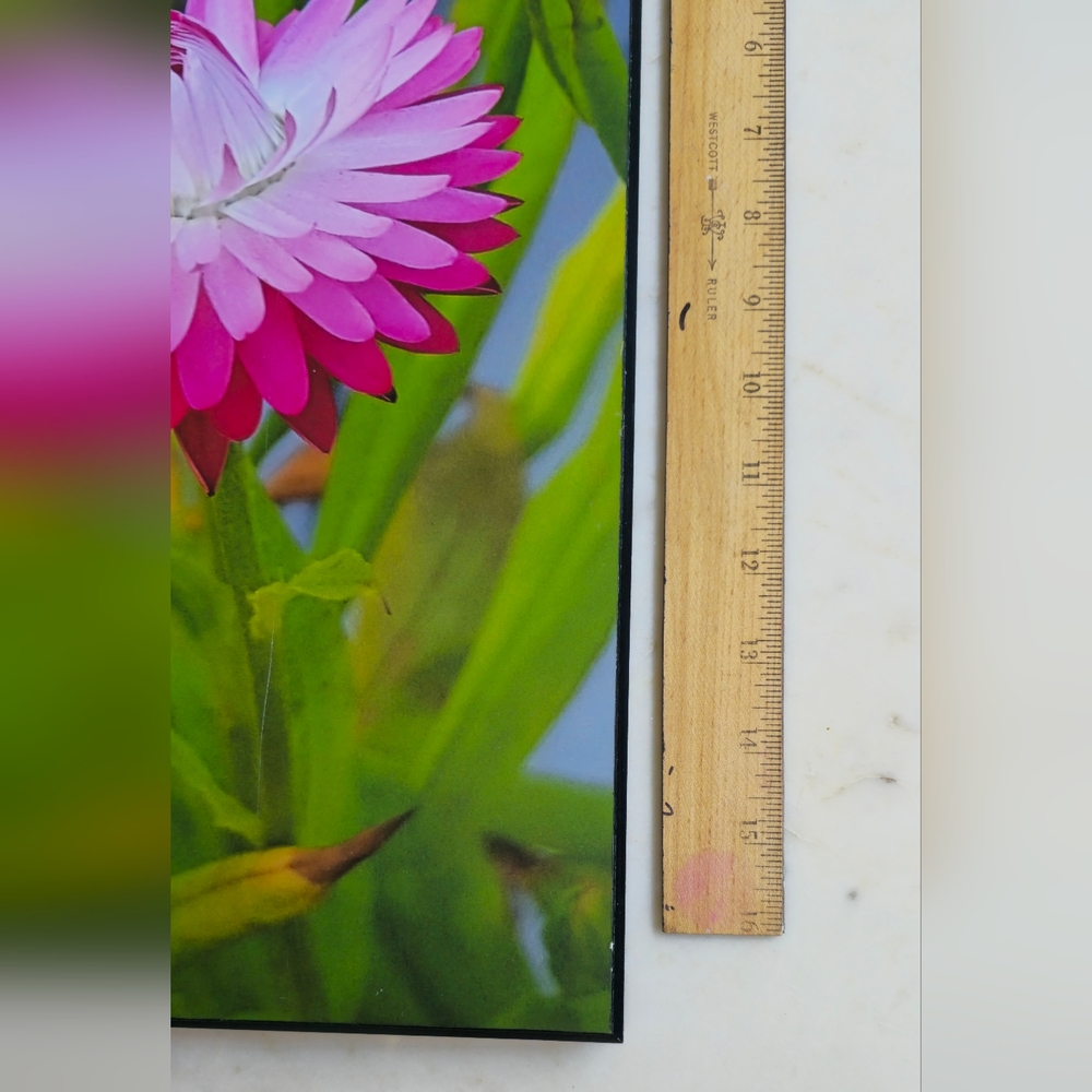 Strawflower Photo Framed on Wood By ARTMILL - Picture 6 of 6